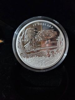 （分類：）位於 。 由 alml00 提交（商品編號 1218381657，圖片 1）。簡介： 。