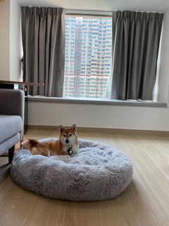 （分類：）位於 。 由 fchanlccc 提交（商品編號 1218421747，圖片 1）。簡介： 。