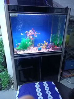 Aluminum solid cabinet and fish tank