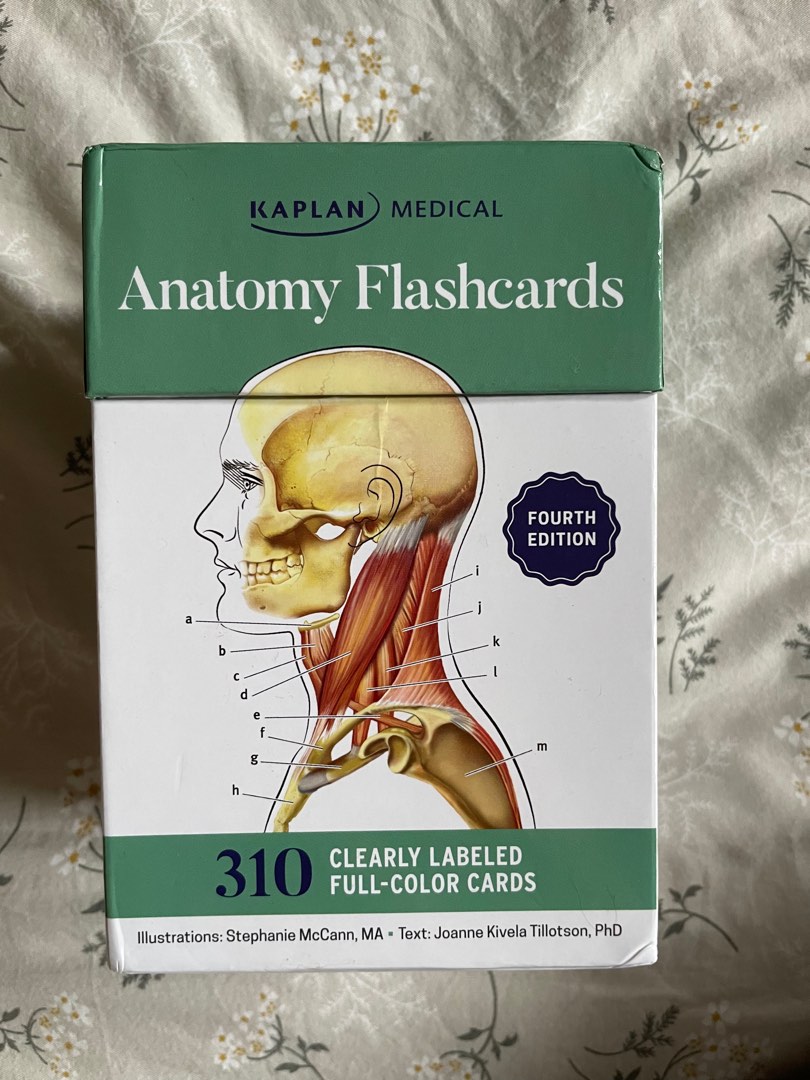 Anatomy Flashcards by Kaplan Medical, Hobbies & Toys, Books & Magazines