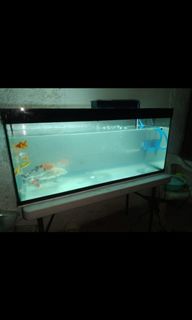 (Category: ) located in . Submitted by formerolx (Listing ID 1218500658, Image 1). Description: .