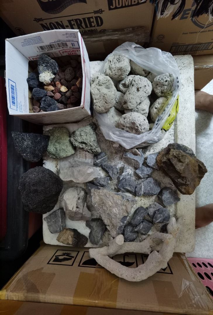 AQUASCAPE DRIFTWOOD & STONE HARDSCAPE, Pet Supplies, Homes & Other Pet