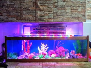 (Category: ) located in . Submitted by edmondlam_ (Listing ID 1218551542, Image 1). Description: .