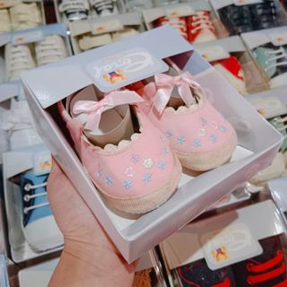 Cute Coral Babies