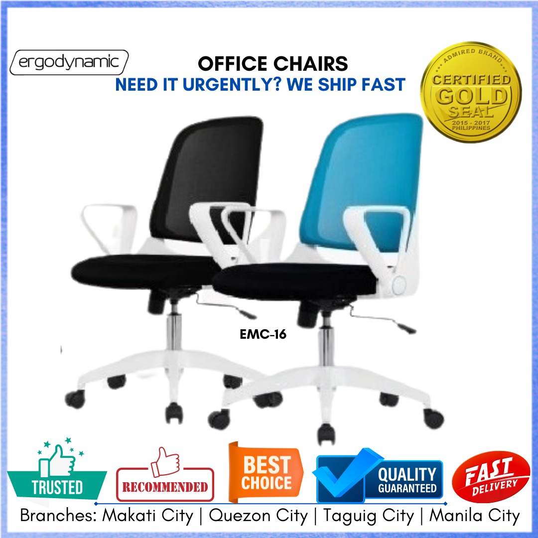 Ergodynamic Executive Mesh Chair, Executive Mesh Office Chair, Office Chair, Office Furniture