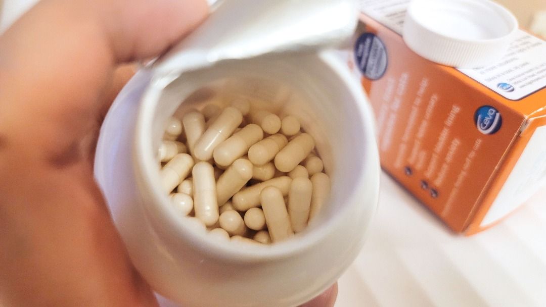300 172 Feliway Cystease Urinary Tract Capsules for