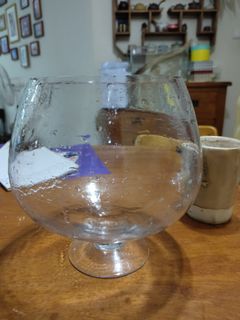 (Category: ) located in . Submitted by peipeiButterfly (Listing ID 1218391904, Image 1). Description: .