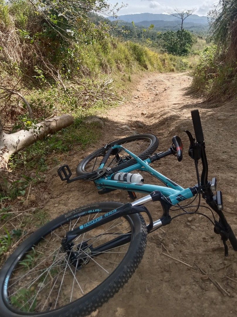 Gt aggressor discount expert 2019