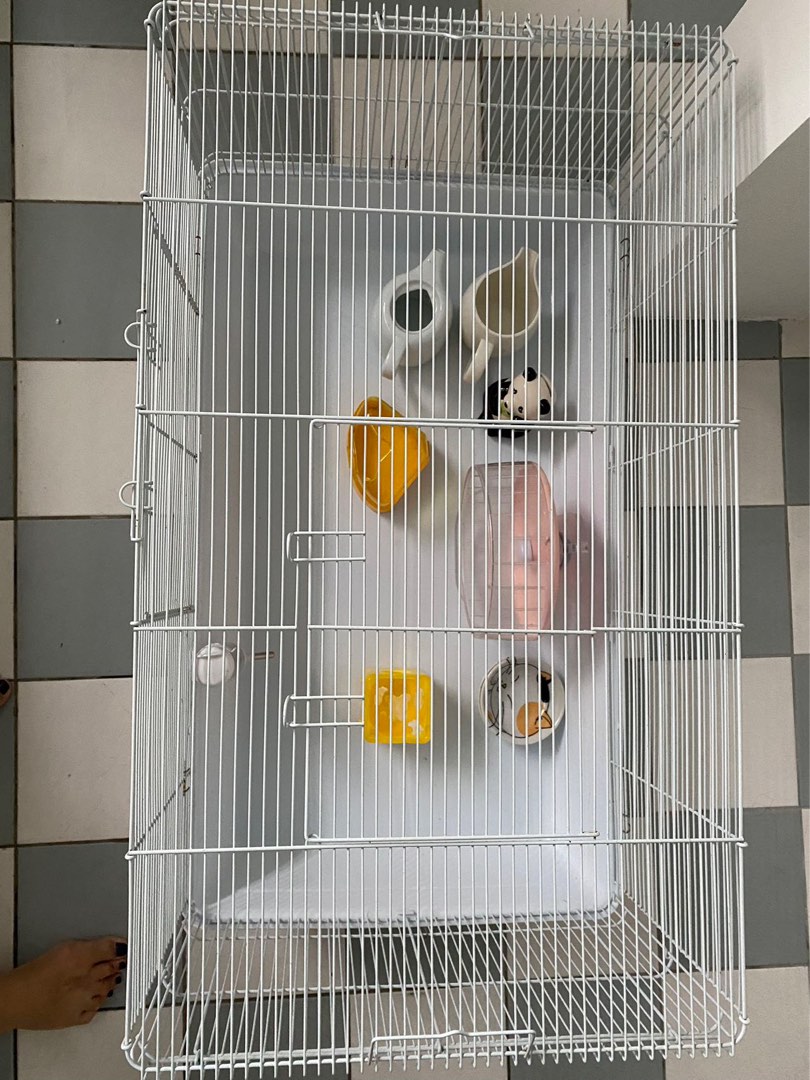 Very Large Hamster Cages With Accessories Reference: Large Hamster Cage With Accessories And Food Pet Supplies Homes