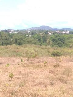 Lot for sale in Amadeo