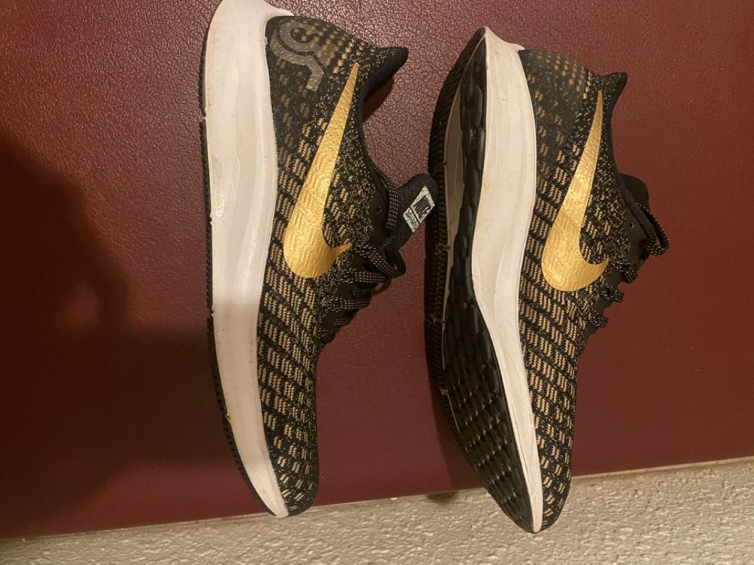 sportchek nike pegasus