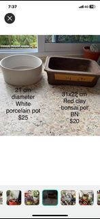 (Category: ) located in . Submitted by lavenderbuds (Listing ID 1218491942, Image 1). Description: .