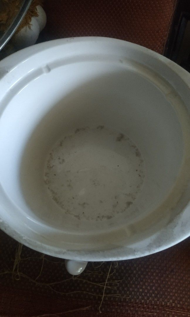 Slow Cooker KLAZ 2.0L on Carousell