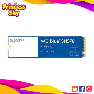 Western Digital WD Blue SN570 250GB NVMe M.2 PCIE Gen 3 Internal Solid State Drive SSD WDS250G3B0C