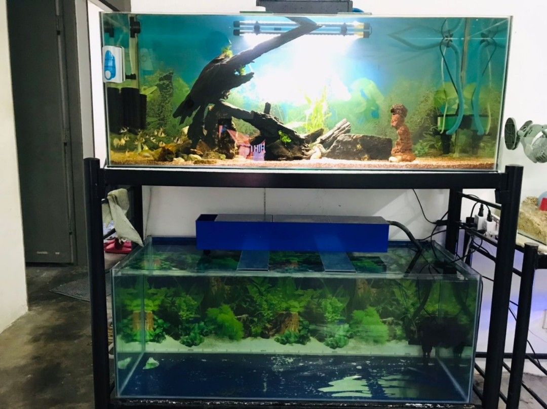 4 feet deals imported fish tank