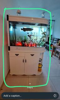 (Category: ) located in . Submitted by junqiangtay (Listing ID 1223684039, Image 1). Description: .