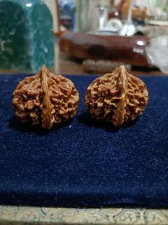秦王核桃一对