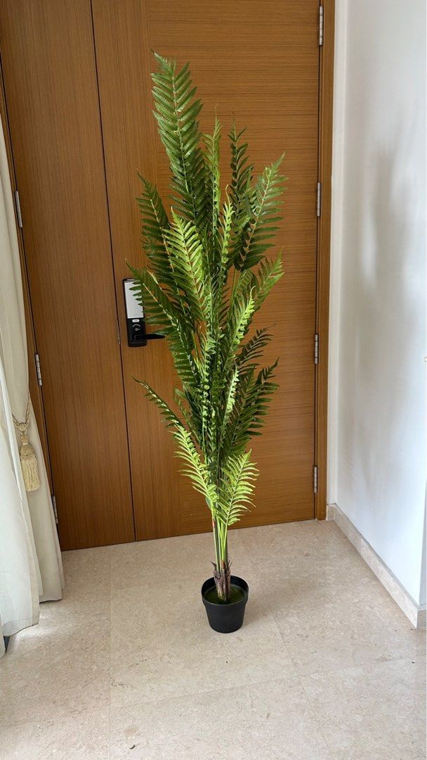 Beautiful plastic plant, Furniture & Home Living, Home Decor, Artificial Plants & Flowers on ...