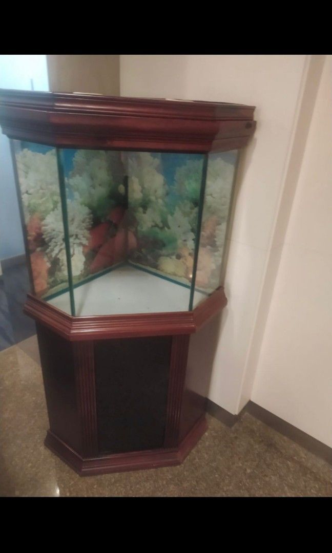 Corner fish tank, Pet Supplies, Homes & Other Pet Accessories on Carousell