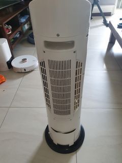 Fan that also has the function of an air purifier