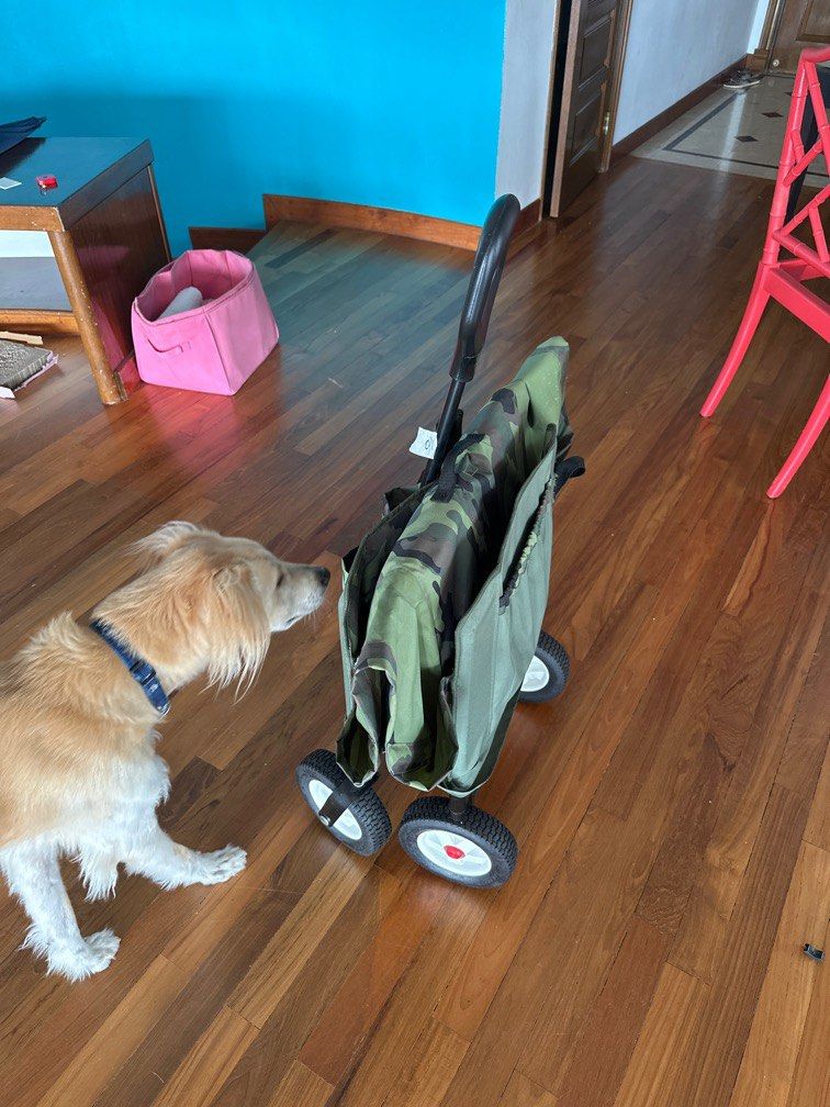 Foldable waggon, Sports Equipment, Other Sports Equipment and Supplies