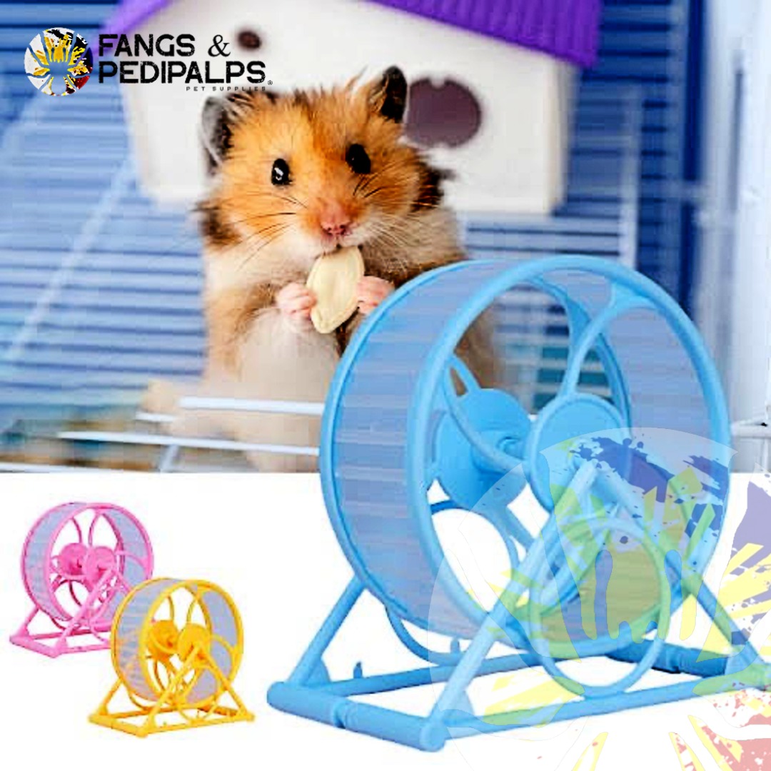 Hamster Wheel Pet Exercise Wheel on Carousell