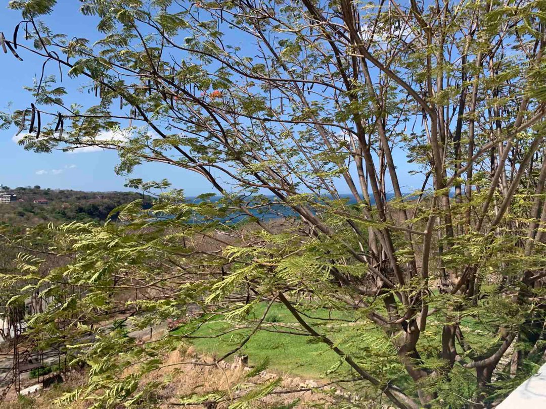 Kawayan Cove beach lot for sale, Property, For Sale, Lot on Carousell