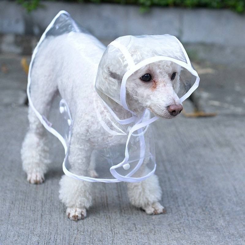 White Dog Raincoat Pet Supplies Homes Other Pet Accessories on