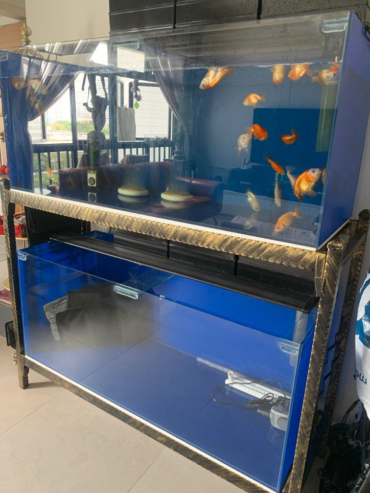 4ft Fish tank x 2 , Pet Supplies, Homes & Other Pet Accessories on