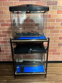 (Category: ) located in . Submitted by shoppingduos (Listing ID 1223914409, Image 1). Description: .