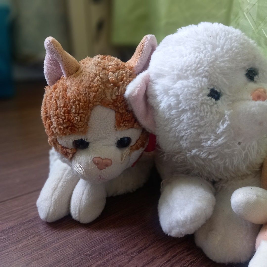 FOR TAKE ALL Blue magic stuff toy cats Hobbies Toys Toys