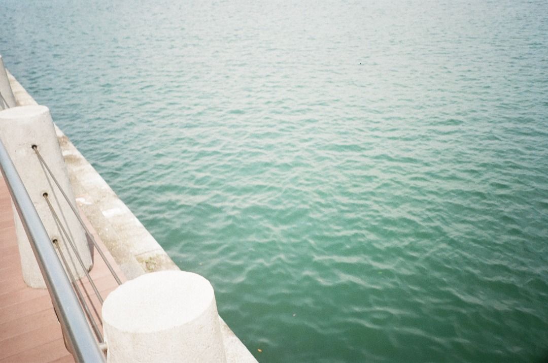 Minolta Freedom Family Zoom 35mm Film Camera, Photography, Cameras on