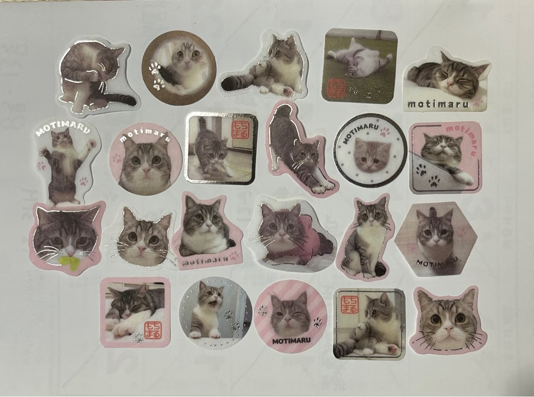 包郵📮MOTIMARU 貓貓手帳貼紙和紙質地, 興趣及遊戲, 手作＆自家設計