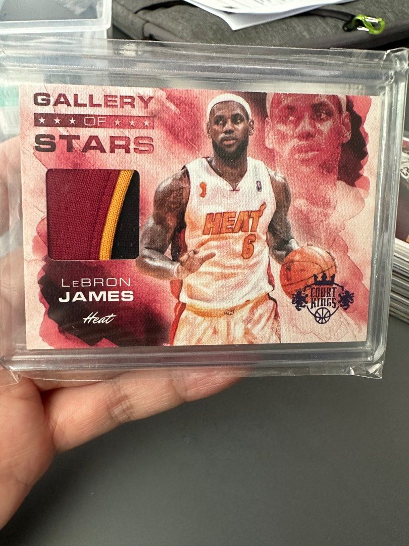 レブロン ジェームズ Panini Court Kings レアインサート