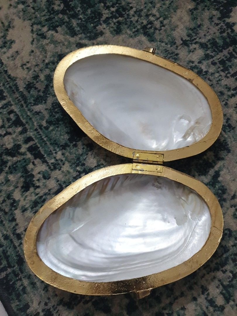 Shell clutch, Men's Fashion, Bags, Belt bags, Clutches and Pouches on ...