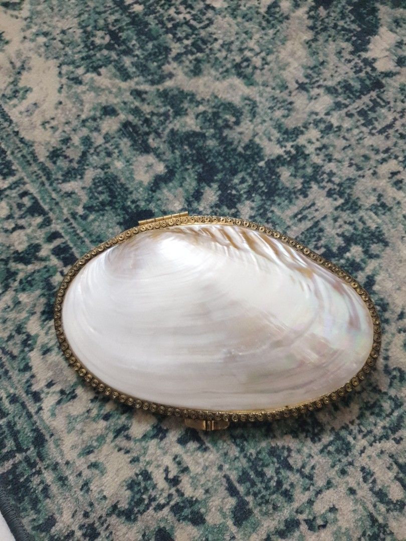 Shell clutch, Men's Fashion, Bags, Belt bags, Clutches and Pouches on ...