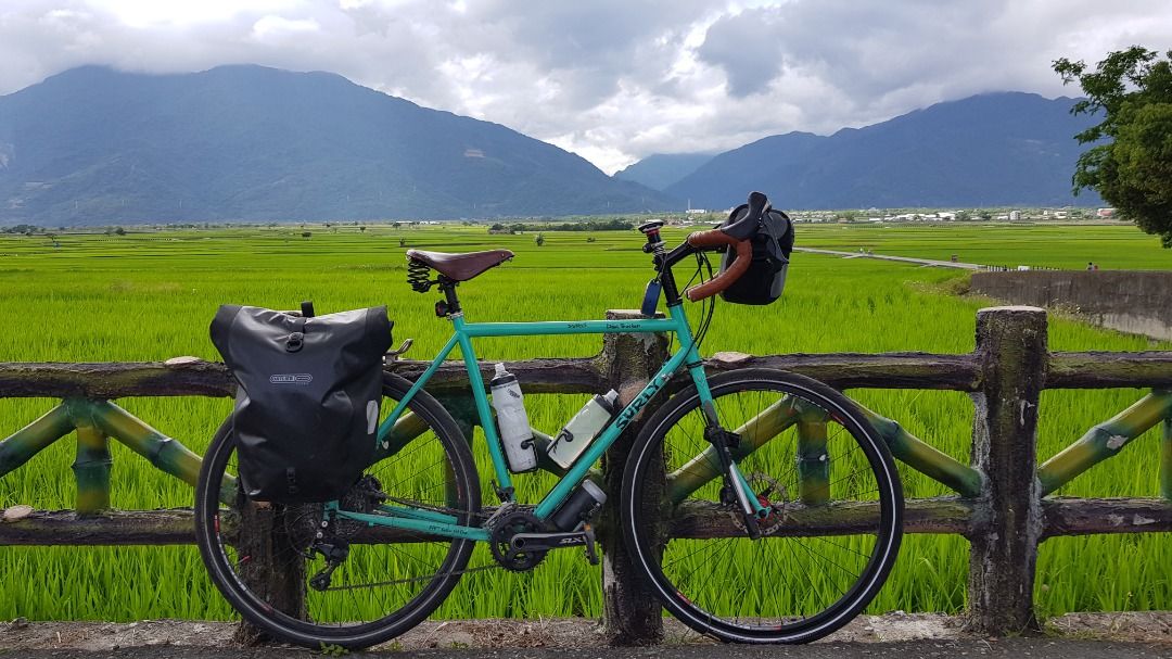Surly disc on sale trucker 56cm