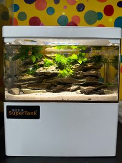 （分類：）位於 。 由 supertank10 提交（商品編號 1223849232，圖片 1）。簡介： 。