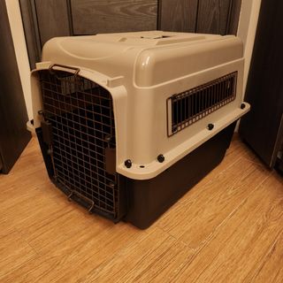 （分類：）位於 。 由 m__ff 提交（商品編號 1223876845，圖片 1）。簡介： 。
