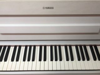 （分類：）位於 。 由 migge0408 提交（商品編號 1223820341，圖片 1）。簡介： 。