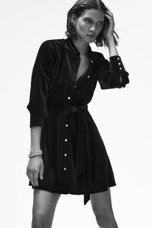 Zara  Velvet Dress