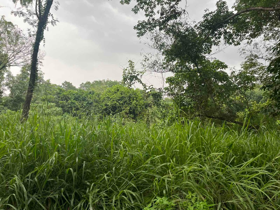 430 sqm vacant lot for sale in Parkridge Estates Antipolo, Property