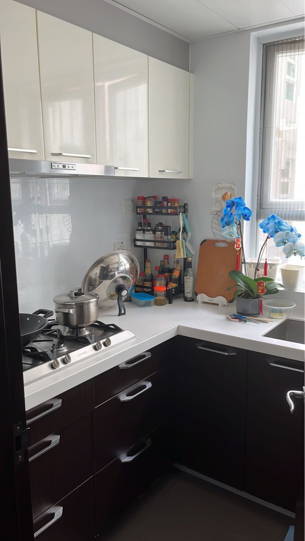 井欄樹64077577625475112