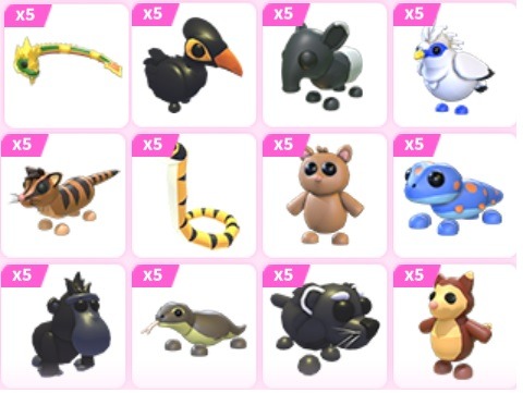Adopt Me New 12 pets bundle (Southeast Asia Egg), Video Gaming, Gaming