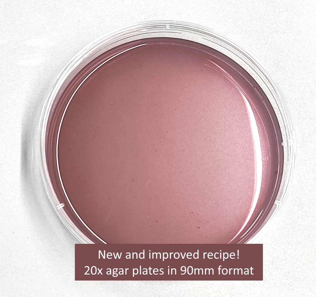 PDA agar plates (v2), 90mm x 20 pcs for fungi/mycelium work, Furniture