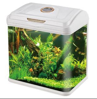 All-In-One Fish Tank