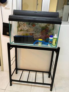 (Category: ) located in . Submitted by wansyaff (Listing ID 1218649123, Image 1). Description: .