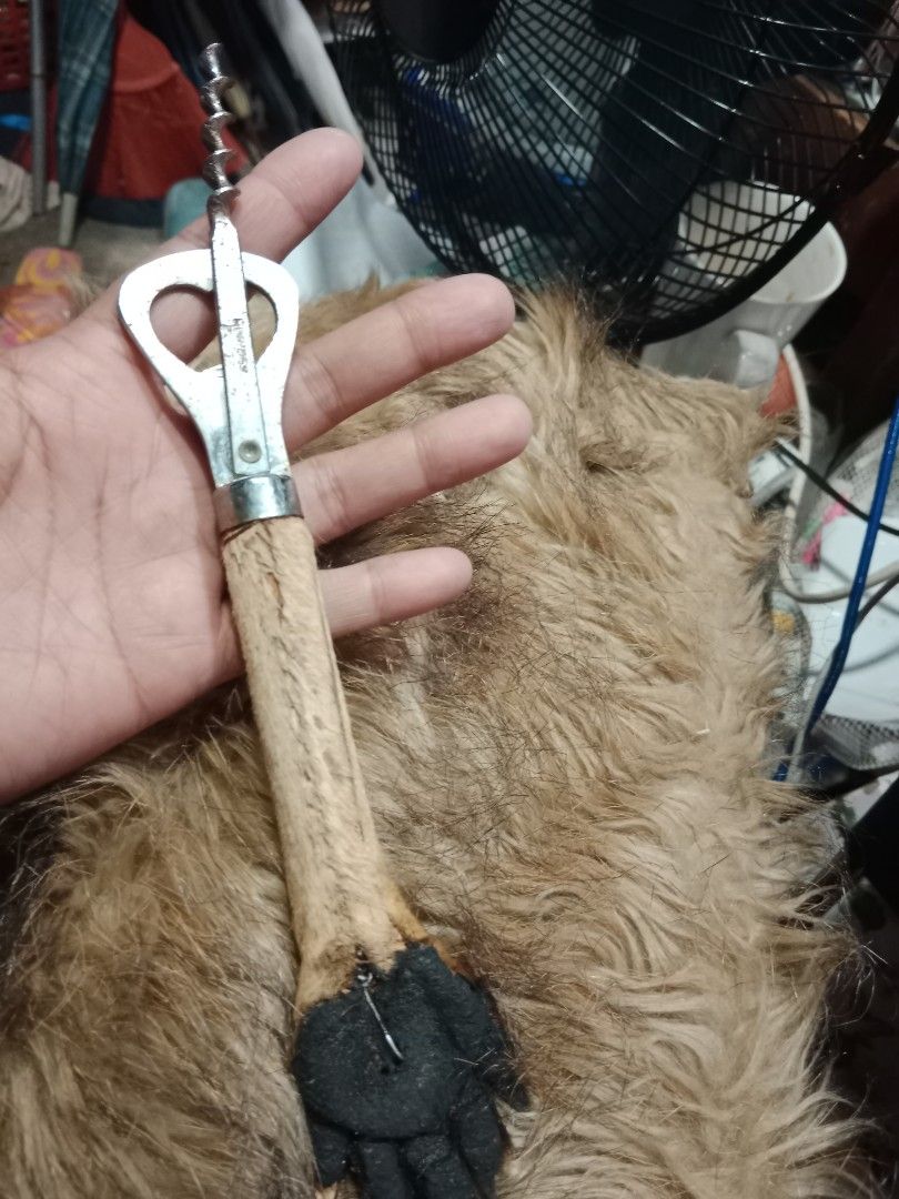 Bottle & Wine Opener (Category: Other Kitchenware & Tableware) located in Silang. Submitted by mel_jb88 (Listing ID 1218599020, Image 3). Description: bottle and wine opener vintage and collectibles Australian kangaro paw see pictures for details pm for details.