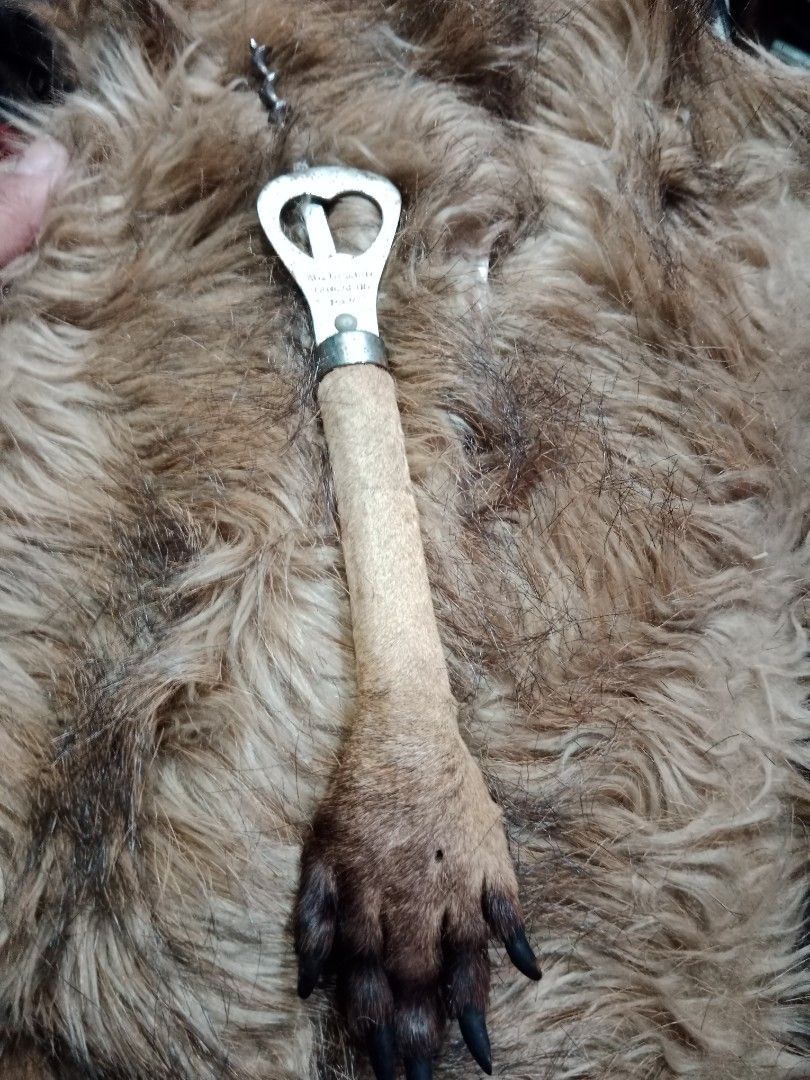 Bottle & Wine Opener (Category: Other Kitchenware & Tableware) located in Silang. Submitted by mel_jb88 (Listing ID 1218599020, Image 1). Description: bottle and wine opener vintage and collectibles Australian kangaro paw see pictures for details pm for details.