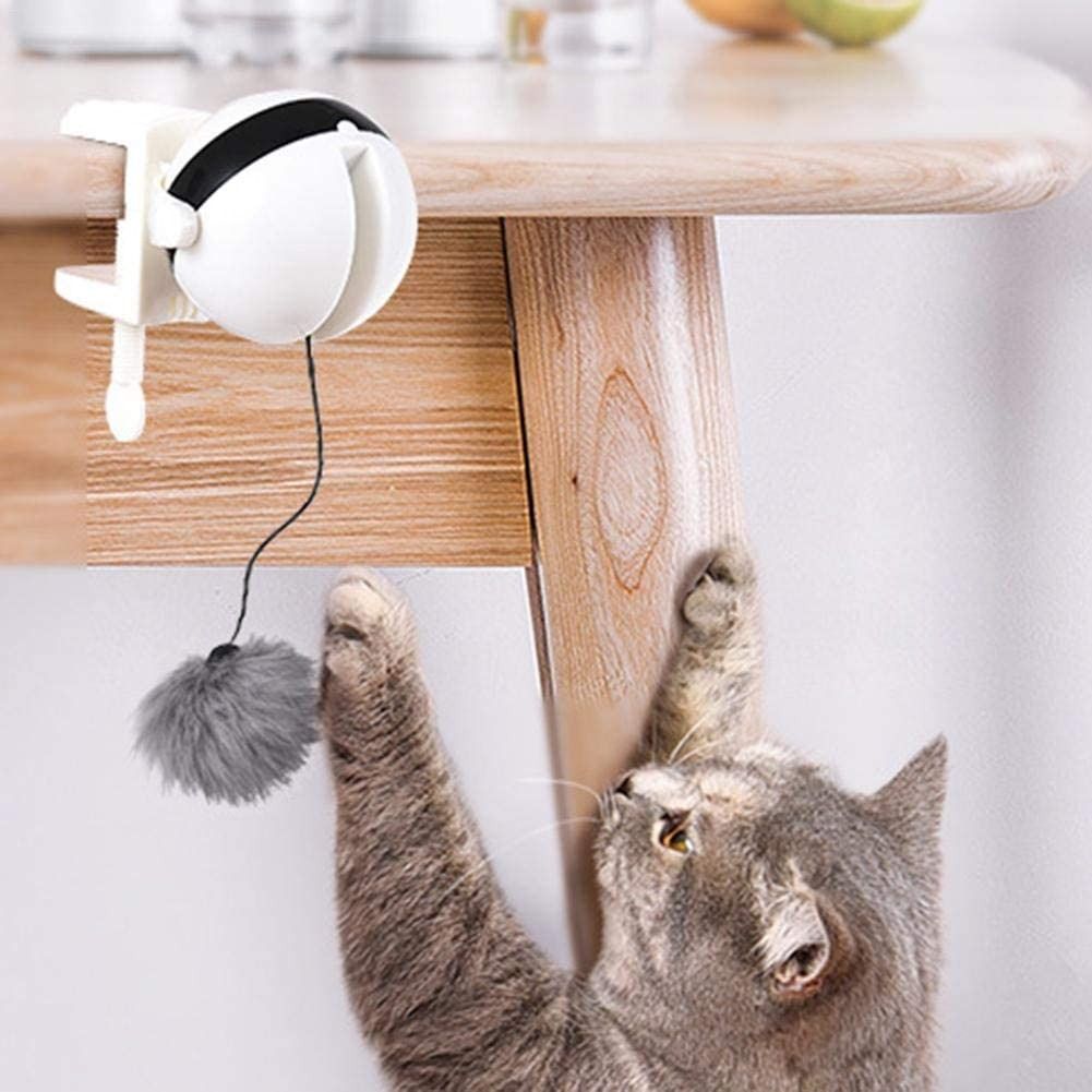 Electronic motion outlet cat toy
